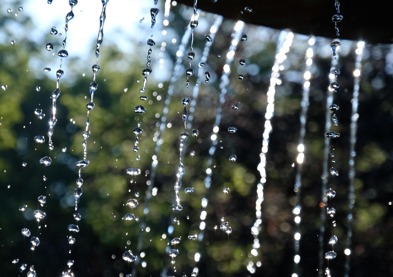 Fountain, beam, nature — How to Place In-Play Bets on Baji999 During Live Cricket
