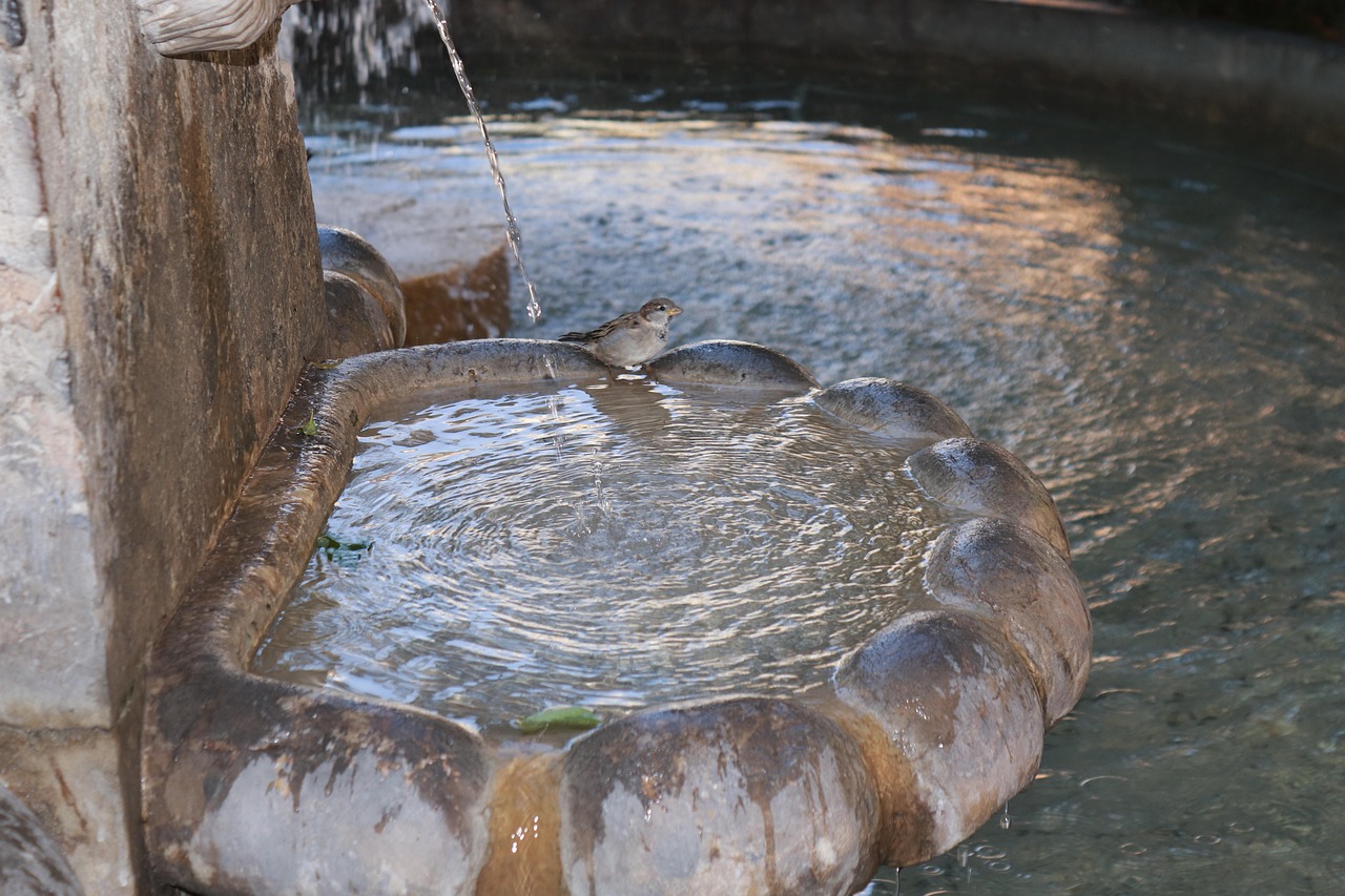 Water feature, fountain, bird — The Flo Milli Effect: Young, Bold & Internet-Unstoppable