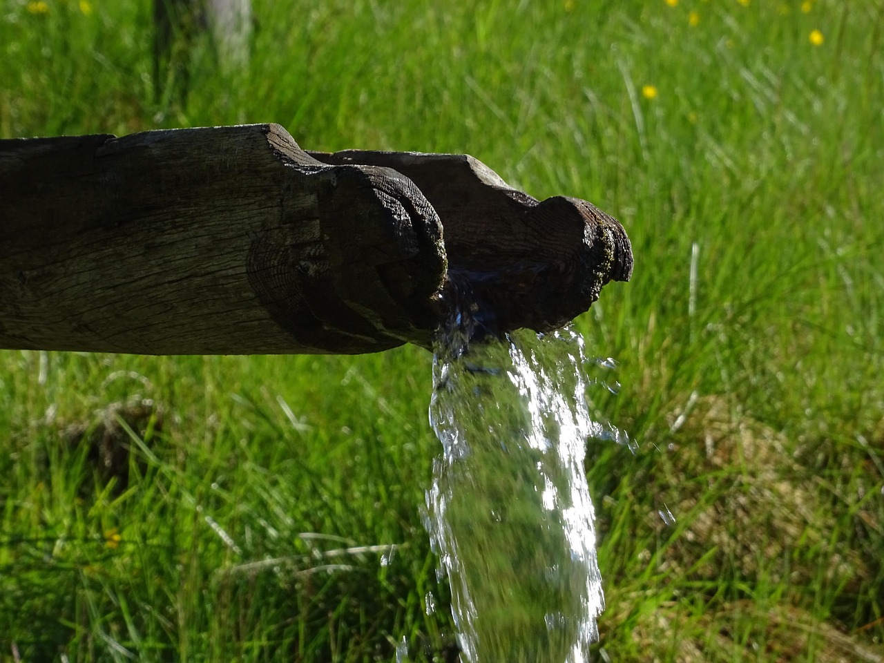 Water feature, meadow, watercourse — UPI vs Bank Transfer on 82 Lottery App